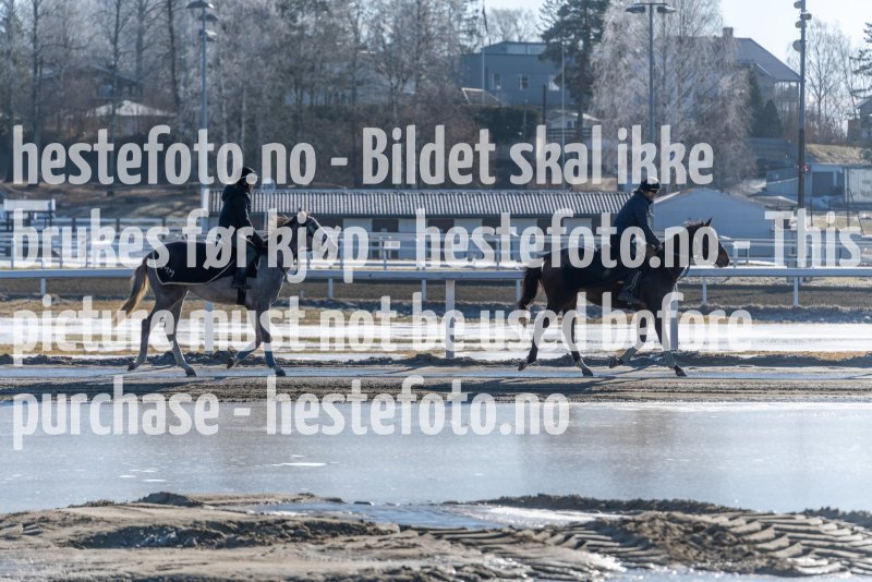 20220305-115339-DSC3604