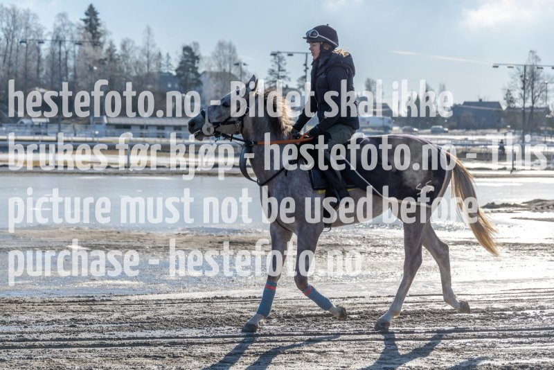 20220305-115411-DSC3616
