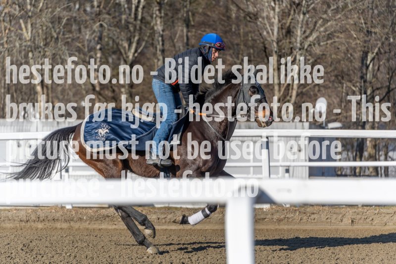 20220305-115436-DSC3626