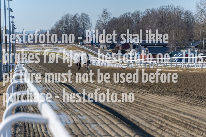 20220305-115917-DSC3673