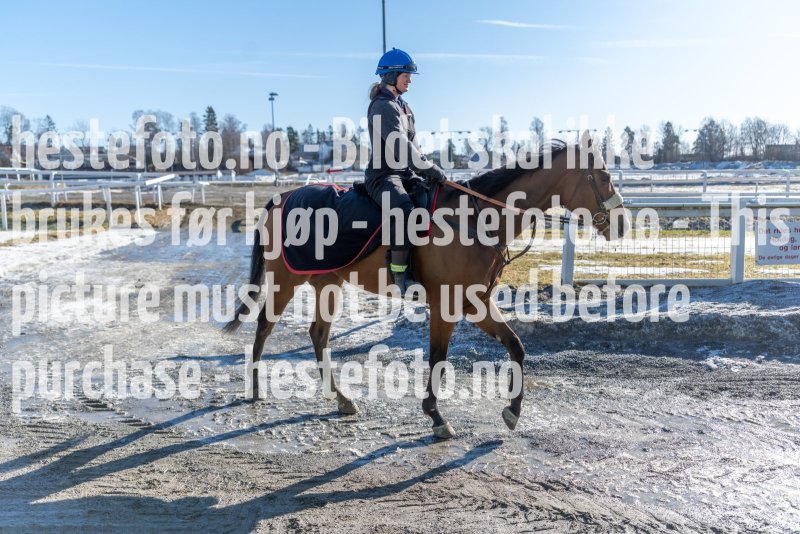 20220305-125238-DSC3747