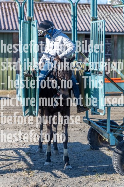 20220305-145658-DSC4233
