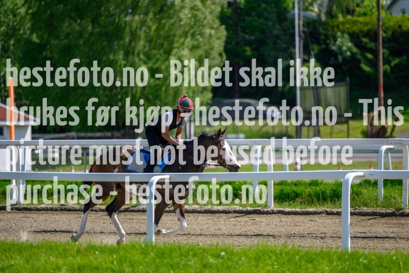 20210605-123516-DSC5570
