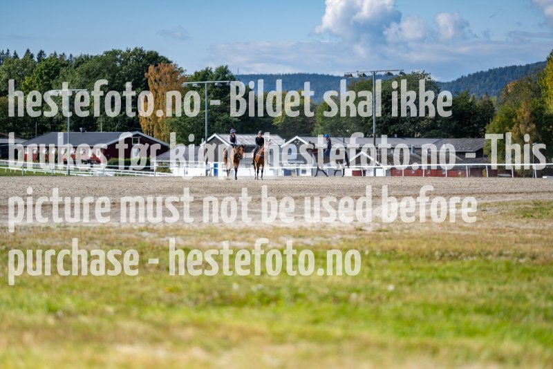 20210905-124641-DSC2824