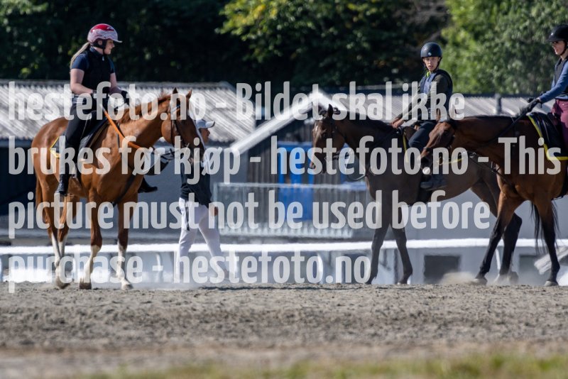 20210905-125813-DSC2937