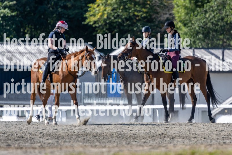 20210905-125814-DSC2939