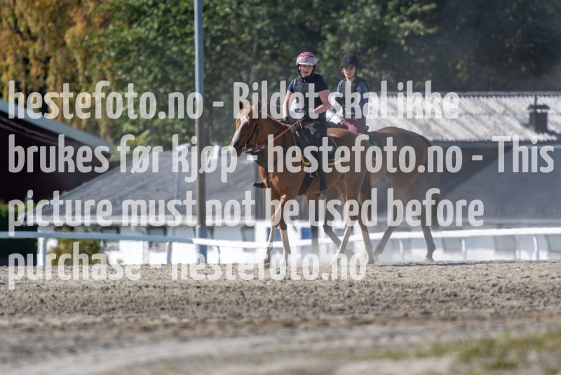 20210905-125919-DSC2977
