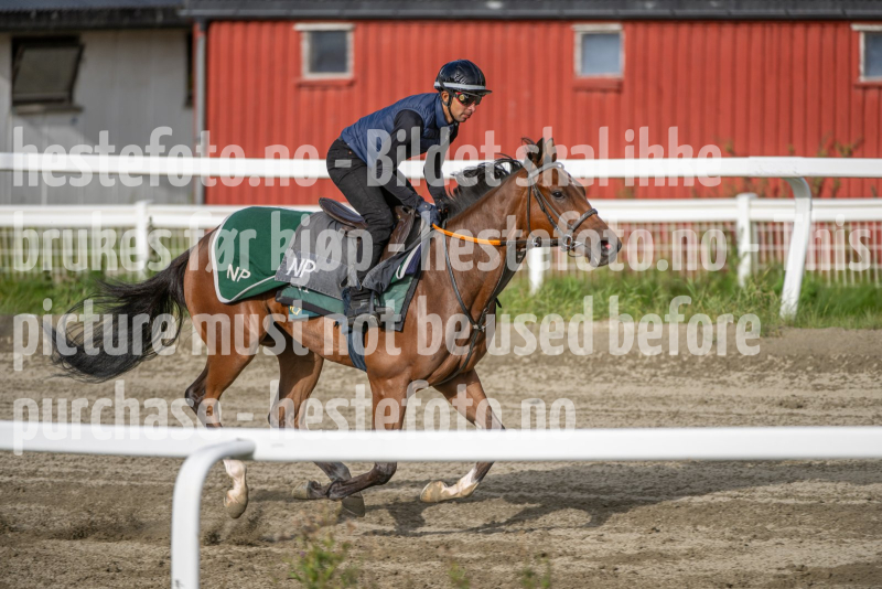 20260905-093413-DSC_8331