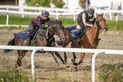 20260905-092802-DSC_7802
