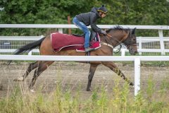 20260905-102744-DSC_8972