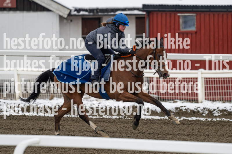 20240406-091854-DSC_7877