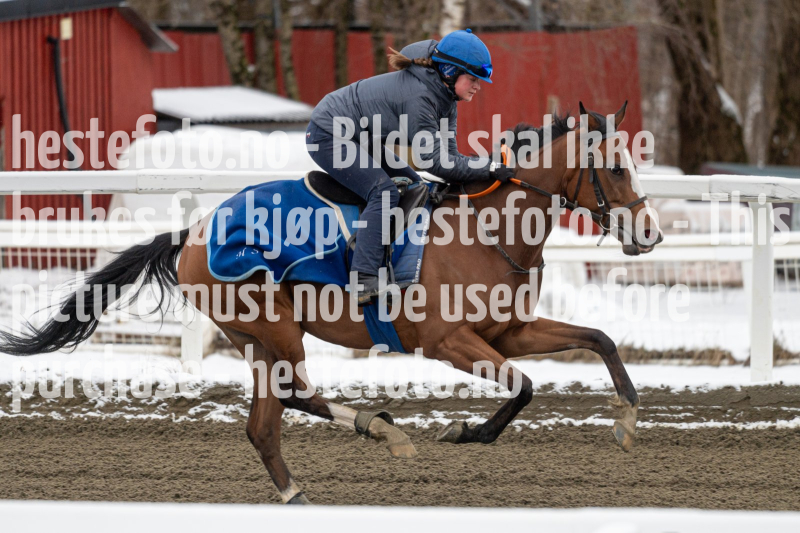 20240406-091855-DSC_7887