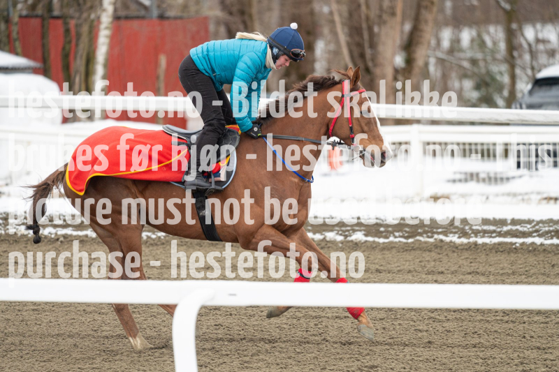20240406-092041-DSC_8039