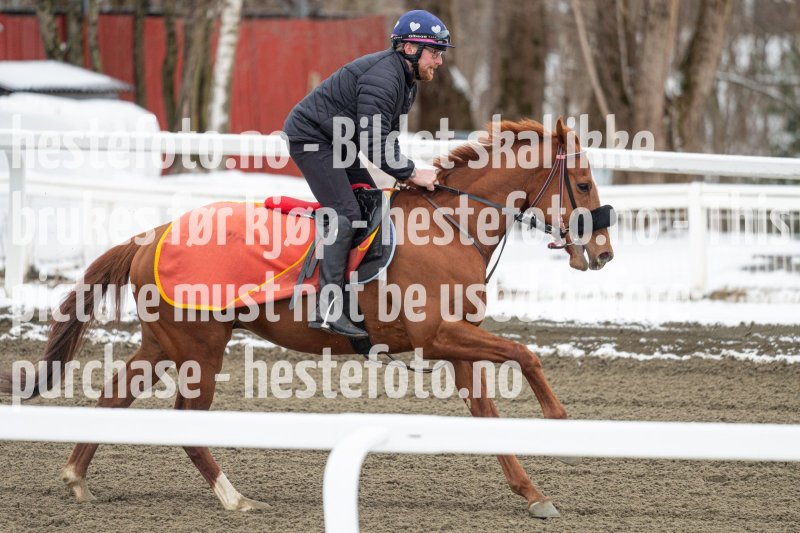 20240406-092145-DSC_8147