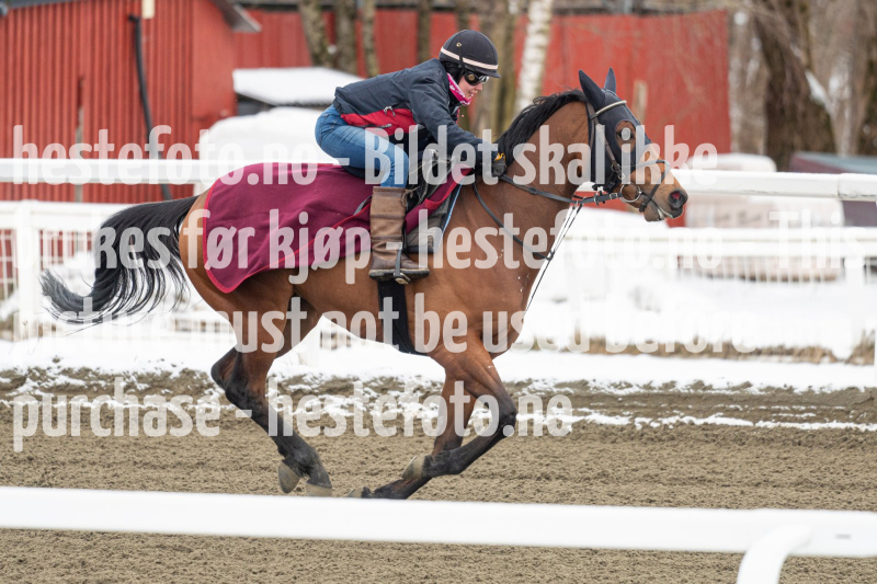 20240406-092251-DSC_8221
