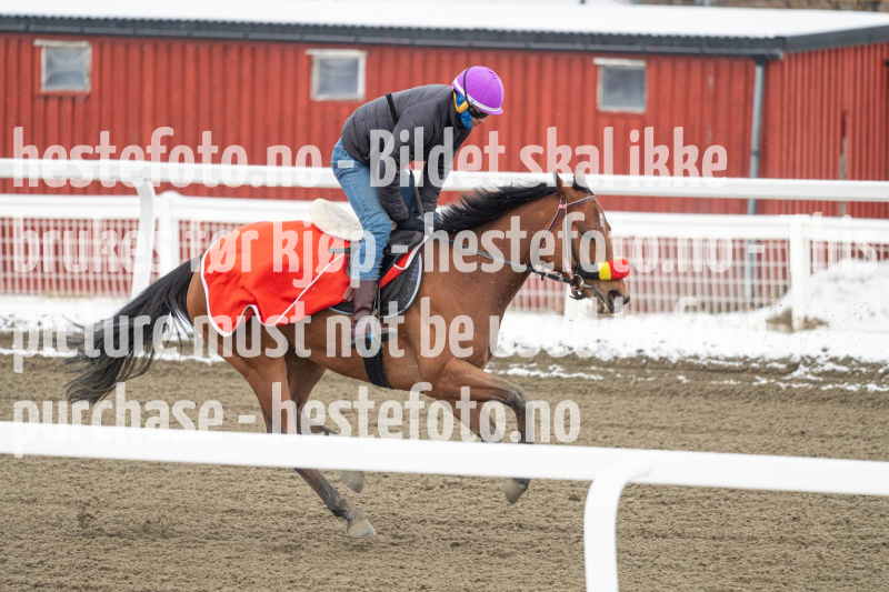 20240406-092407-DSC_8273