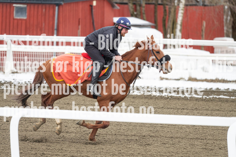 20240406-092409-DSC_8276