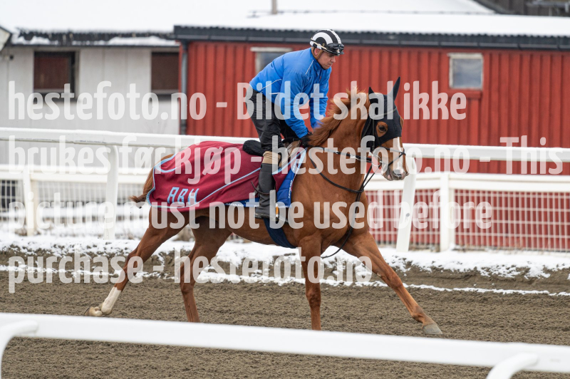 20240406-092507-DSC_8325