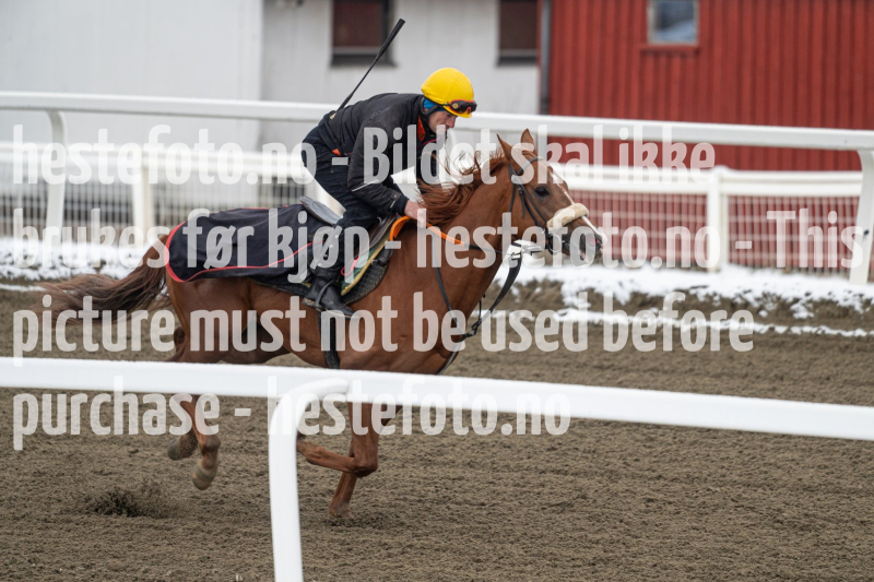 20240406-093146-DSC_8463