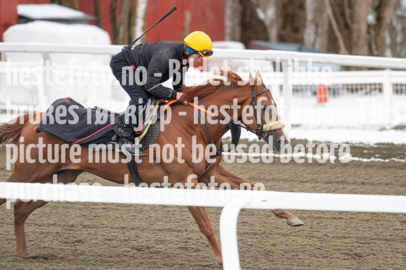 20240406-093147-DSC_8471