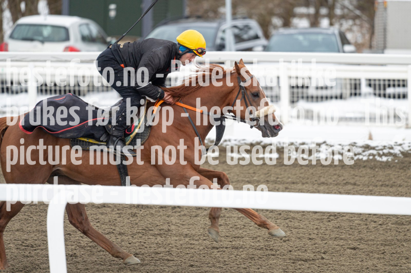 20240406-093147-DSC_8475