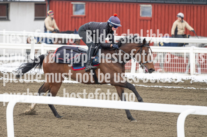 20240406-093210-DSC_8491