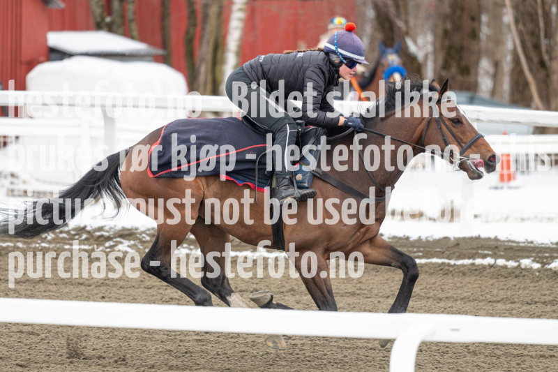 20240406-093211-DSC_8500