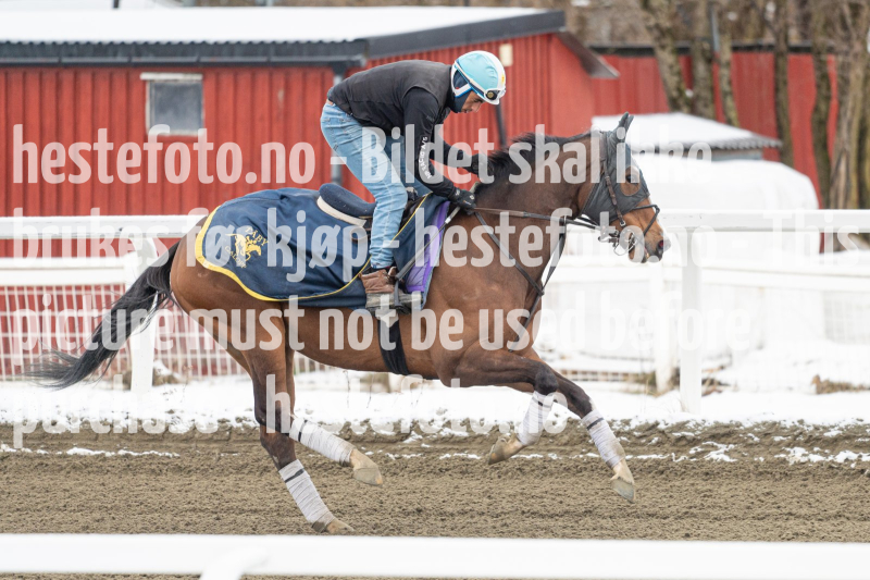 20240406-093633-DSC_8564