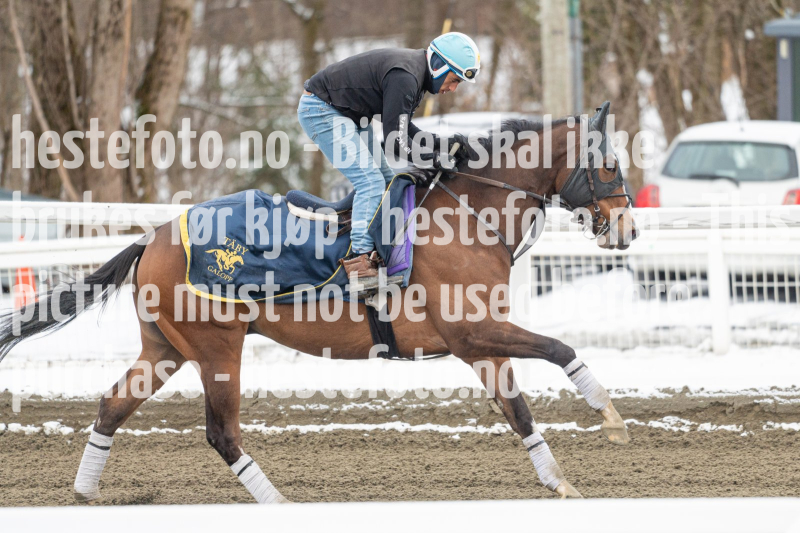 20240406-093633-DSC_8571