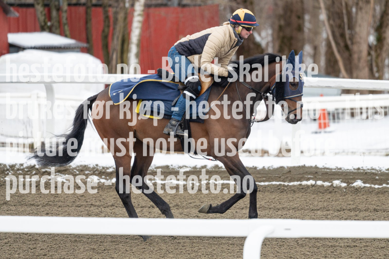 20240406-093741-DSC_8634