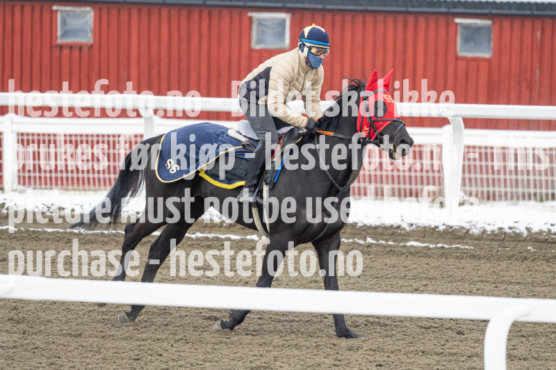 20240406-093743-DSC_8641