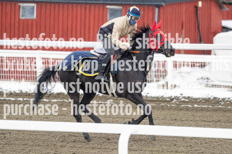 20240406-093743-DSC_8644
