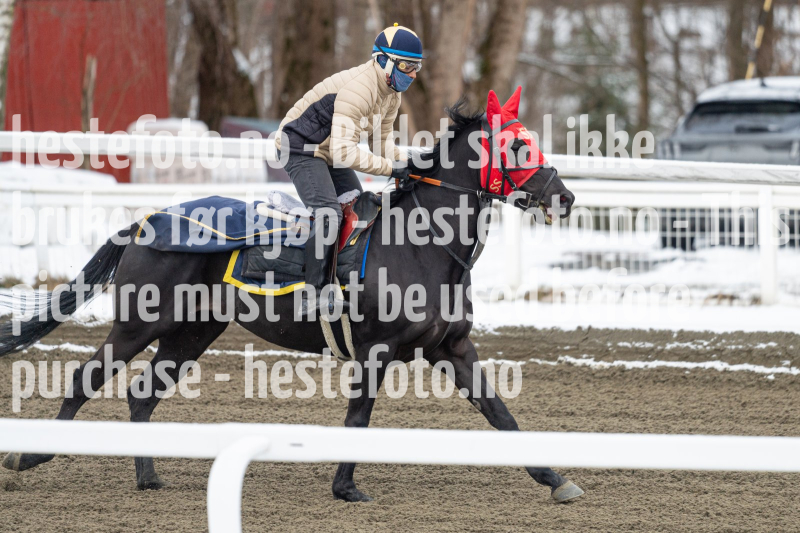 20240406-093744-DSC_8653