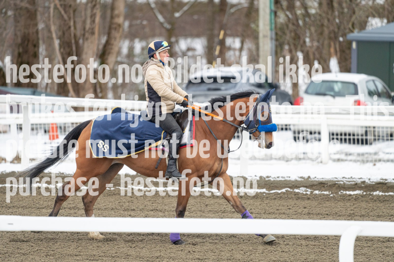 20240406-093841-DSC_8729