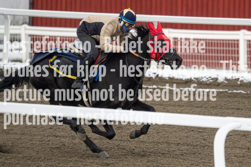 20240406-094024-DSC_8801