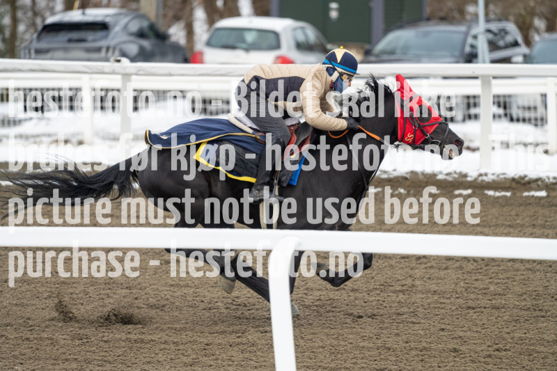 20240406-094025-DSC_8810