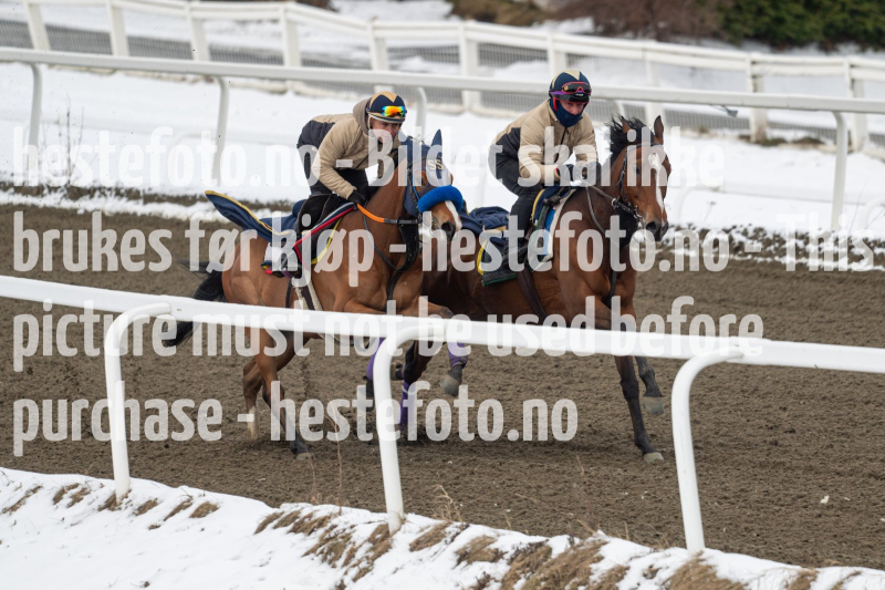 20240406-094125-DSC_8833