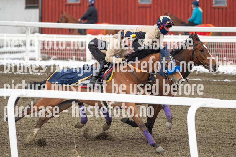 20240406-094127-DSC_8858