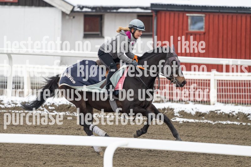 20240406-094327-DSC_8945