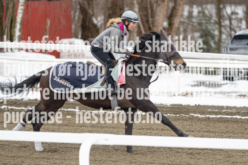 20240406-094328-DSC_8958