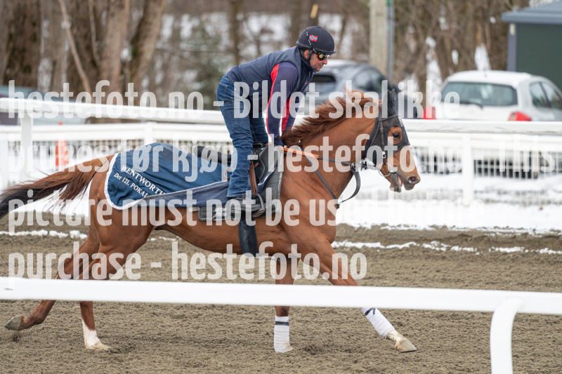 20240406-094458-DSC_9042