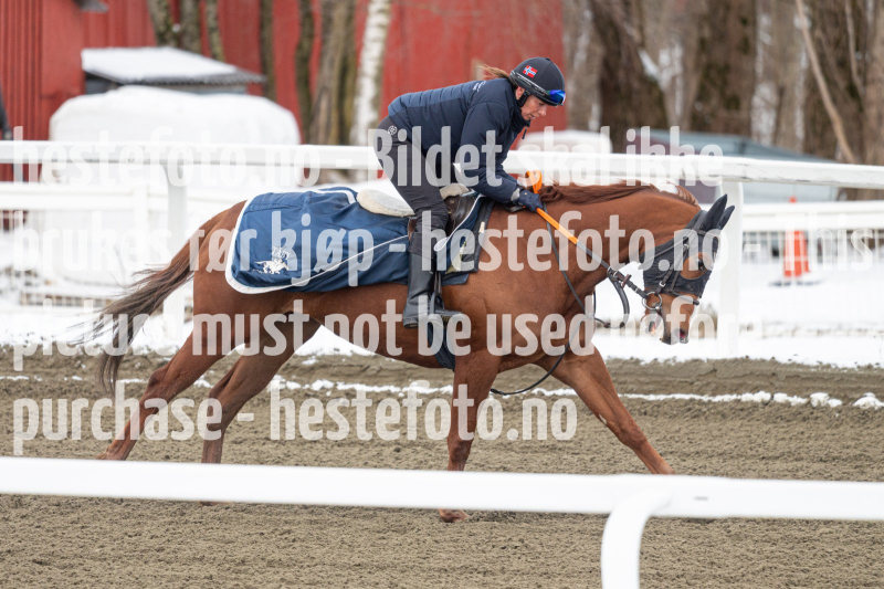20240406-094517-DSC_9084