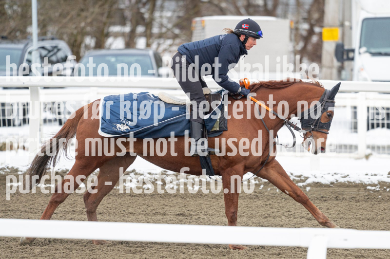 20240406-094518-DSC_9095