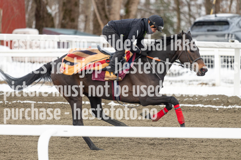 20240406-094537-DSC_9140