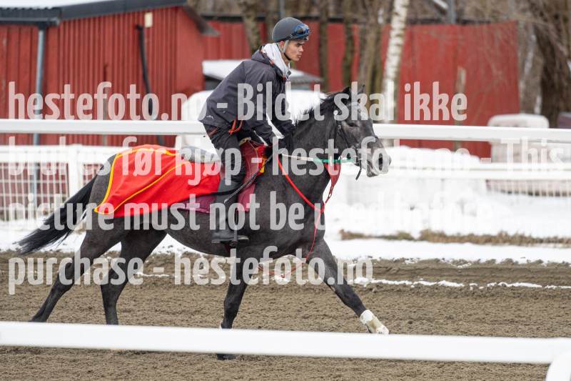 20240406-094631-DSC_9236