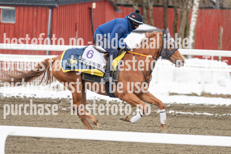 20240406-094917-DSC_9340