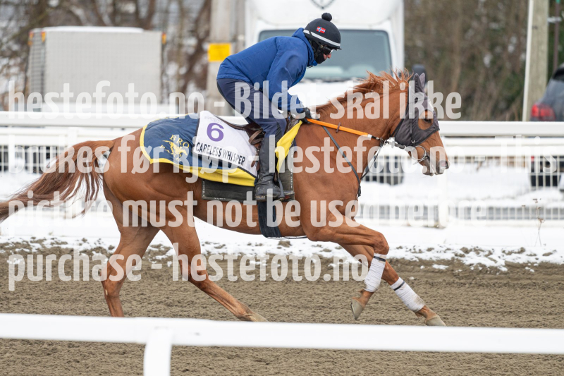 20240406-094918-DSC_9352