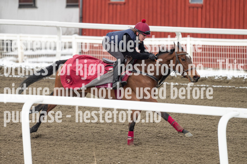 20240406-094951-DSC_9425