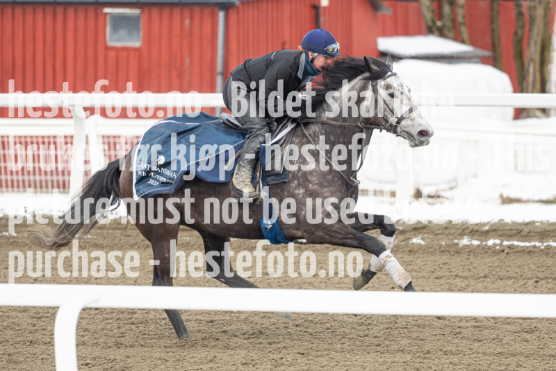 20240406-095300-DSC_9483