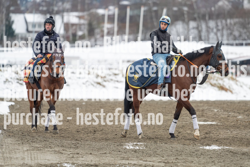 20240406-105112-DSC_9612